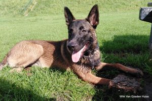 1-1-septeber 2020 346