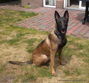 1-10338556 10200924052701370 8398655980157160513 o