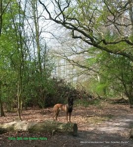 1-10363683 10200727534748544 3475310780292836784 n