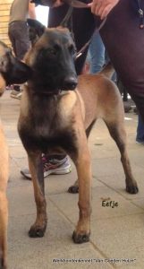 1-10384908 10205135491719141 1045515420630592335 n-001