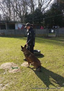 1-10401894 940870972598146 6010085379065268650 n