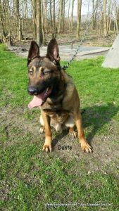 1-10410359 845508348854613 3914010830513808162 n