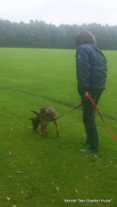 1-10421611 4702537419199 2955288976764225198 n