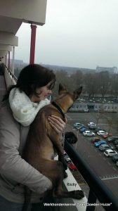 1-10425029 675542262572960 7962692808273294941 n