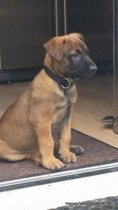 1-10441312 574279582693083 8892628564417307962 n