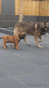 1-10449456 574246102696431 8790973359993606268 n