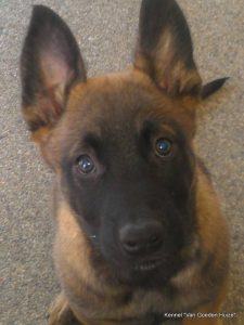 1-10455757 762434793809258 5378943845995172842 n