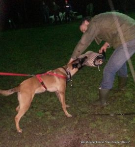 1-10475731 10200617554879116 5137796660929220452 n