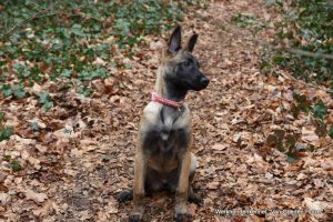 1-10483251 10204583662323751 4503472573194370952 o (1)