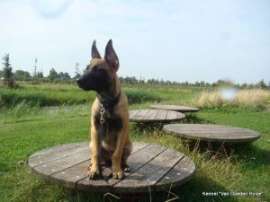 1-10506900 1448633658735304 3458979636091950548 o