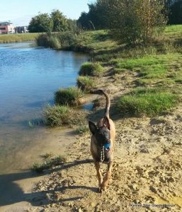 1-10513329 4931936514033 2870660141864940128 n 1