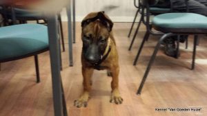 1-10526060 596822970438744 6398629273233840591 n