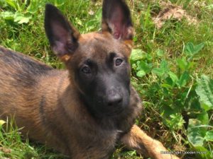 1-10526132 773410502711687 6940180622790049381 n