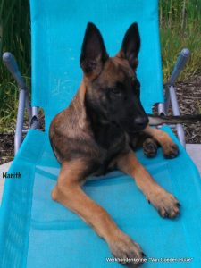 1-10592990 784280711624666 4520878721113666987 n