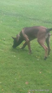 1-10600384 4702537659205 4732804322777610236 n