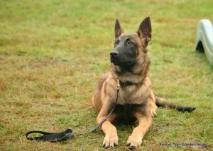 1-10612937 810696928983044 3400558167218116581 n