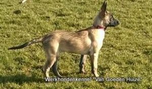 1-10645259 851391811590757 5269935577651111050 n