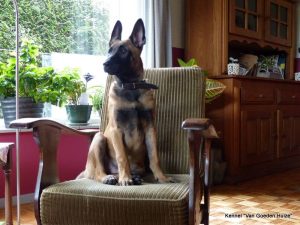 1-10668874 723345144386353 2978384237865345830 o