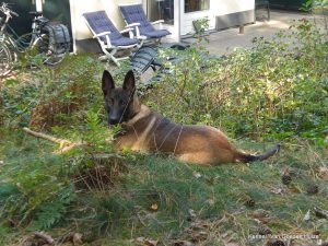 1-10710284 4838153609519 5841355096947821573 o