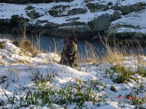 1-1073997 10152165309629467 1118341765 o