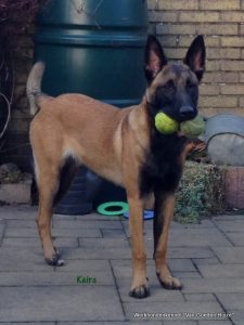 1-10891724 1511267535805249 288024890304172166 n