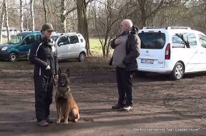 1-10960069 941161865902390 3200646235434283853 o