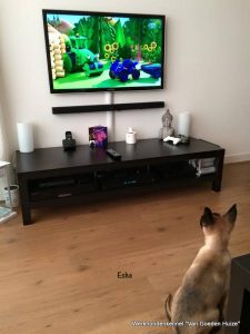 1-11008471 807732135964112 4767724706900042846 n