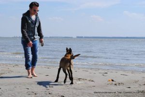 1-11009921 780727972042131 3232443556008181307 o