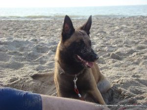 1-11011682 1581595705439098 5521195927959966837 o