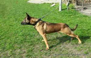 1-11013577 845508362187945 7792427222041642348 n