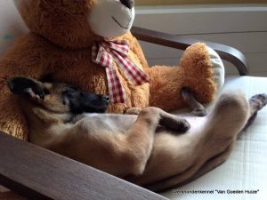 1-11021208 10204414802982373 6622263118080461889 n (1)