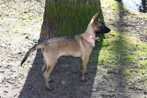 1-11025289 10204589694794559 614432831545816782 o 1 (1)