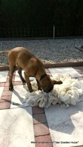 1-11025624 675542379239615 7972200164913908887 n