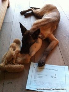 1-11031063 885163964880208 4733486119394207365 n