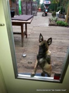 1-11037002 907810222595214 5033771199257685958 n