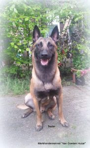 1-11063737 841496629237870 4731808757798544981 n