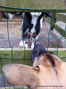 1-11064881 1639298956299148 8155902748929617453 n