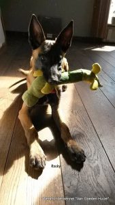 1-11066011 787943497987245 3518304495946065904 n