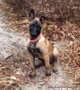 1-11066634 366701786850247 4425696706597966085 n (1)