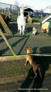 1-11071498 675542052572981 3831932927873289675 n 1