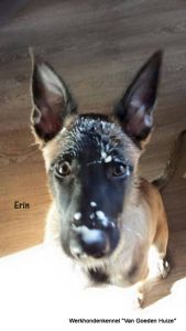 1-11081289 907810199261883 4923279632860919379 n