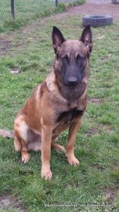 1-11081546 901261966593206 2018530428 n