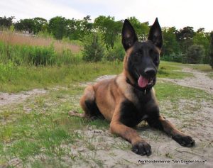 1-11082375 794274850687443 3928667837859774512 o