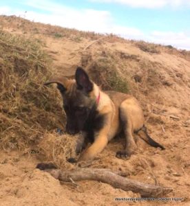 1-11083636 859728170757121 7541698605612585233 n