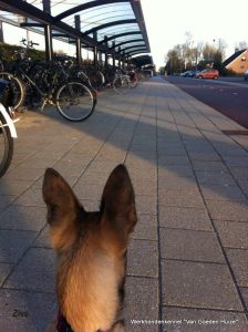 1-11111781 873674249362513 4967610134067082810 n