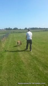 1-11113013 801940326587562 3418613832244915288 n