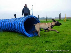 1-11118613 841100039293988 8471493607910024228 n