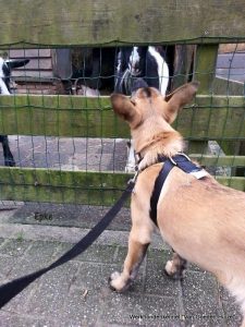 1-11121787 1639298992965811 2501130706806489773 n