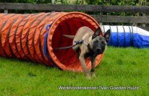 1-11127478 841100115960647 6481221354642799654 n