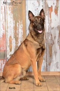 1-11127667 922624774456925 1859529415354191738 n